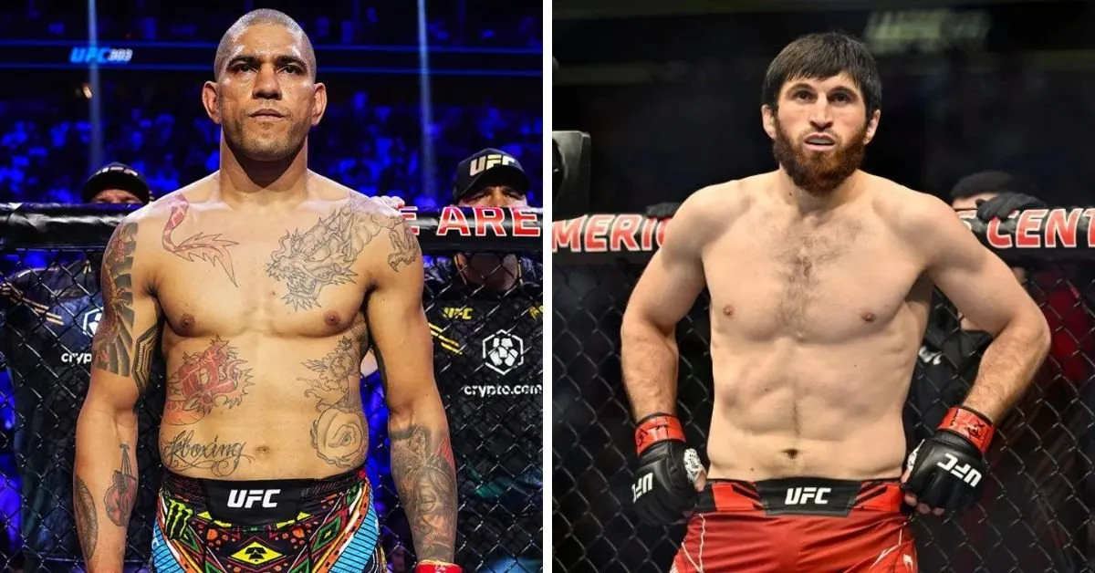 Magomed Ankalaev vs. Alex Pereira 2: Chael Sonnen's Warning & Pereira's  Title Redemption Path | MMA UK