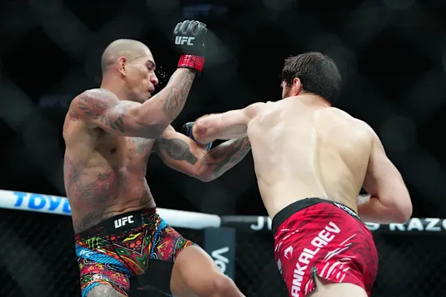 Magomed Ankalaev's manager: Alex Pereira 'engineered' by UFC, never  should've been champ - Yahoo Sports