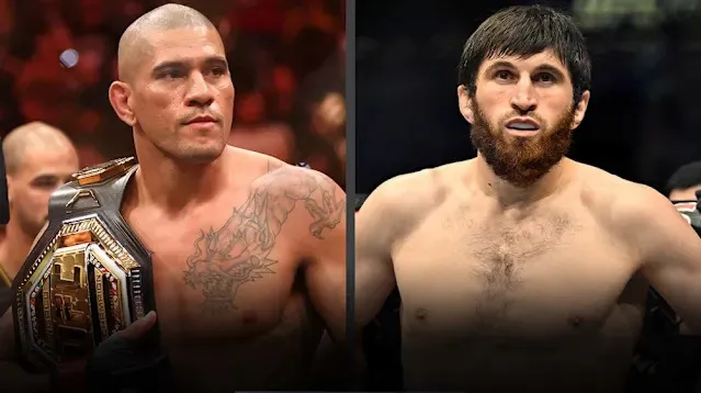 Alex Pereira says he requested 'ordinary guy' Magomed Ankalaev at UFC 313 –  and knows who's next - Yahoo Sports