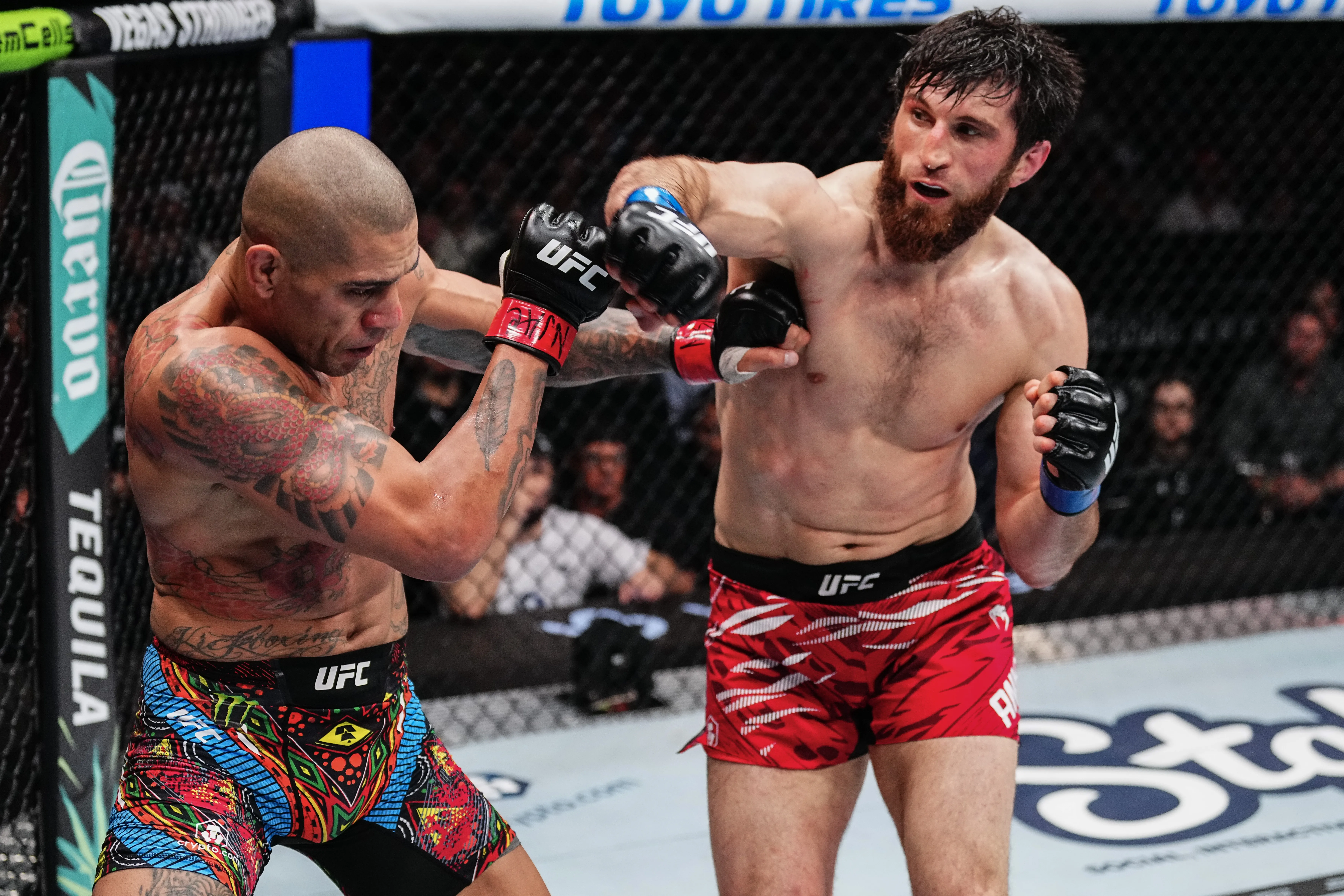 Dana White delivers one-word response to Alex Pereira vs Magomed Ankalaev  rematch chances | talkSPORT