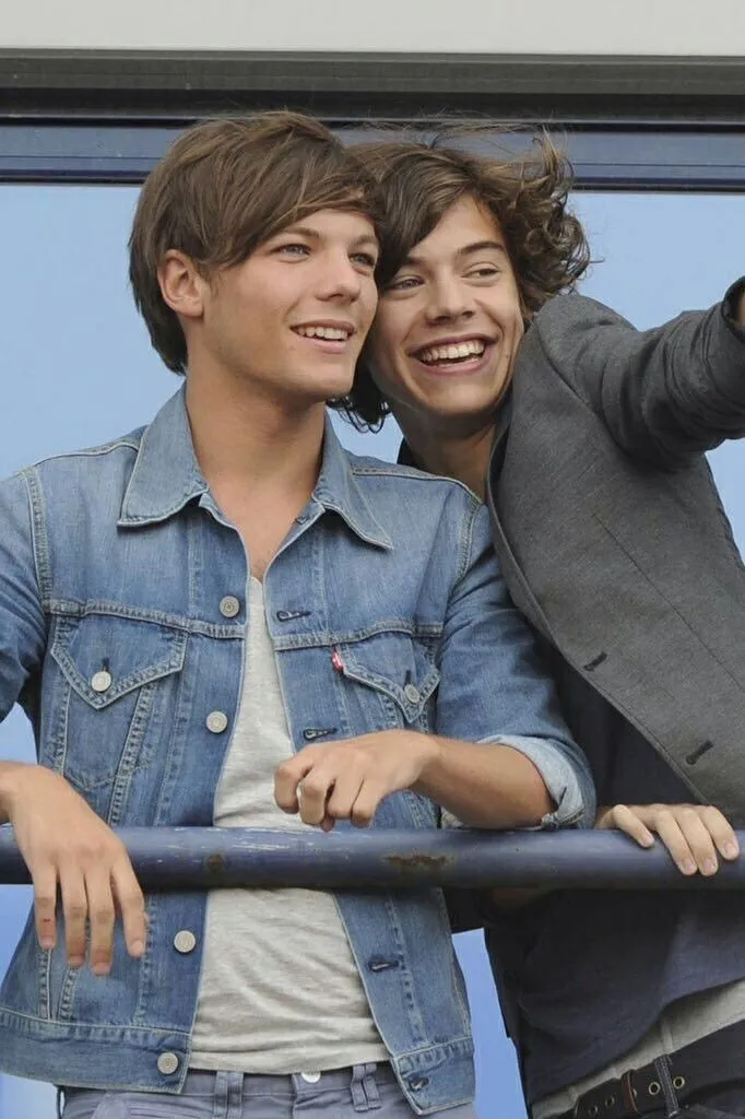 Pin by celes bieber on Larry Stylinson | Larry stylinson, Larry, Louis and  harry