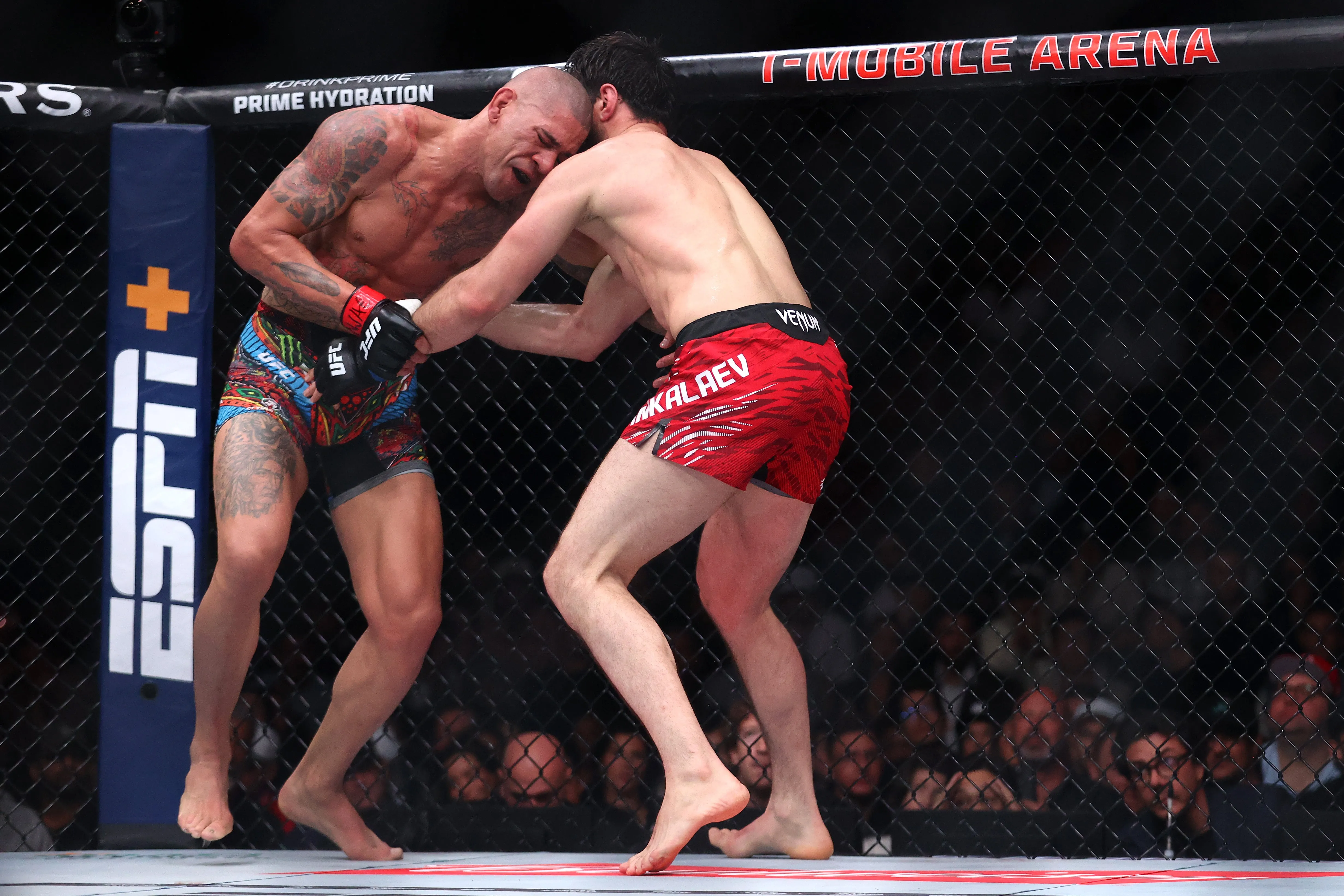 Alex Pereira accused of greasing by Magomed Ankalaev's coach after UFC 313  clash | The Independent