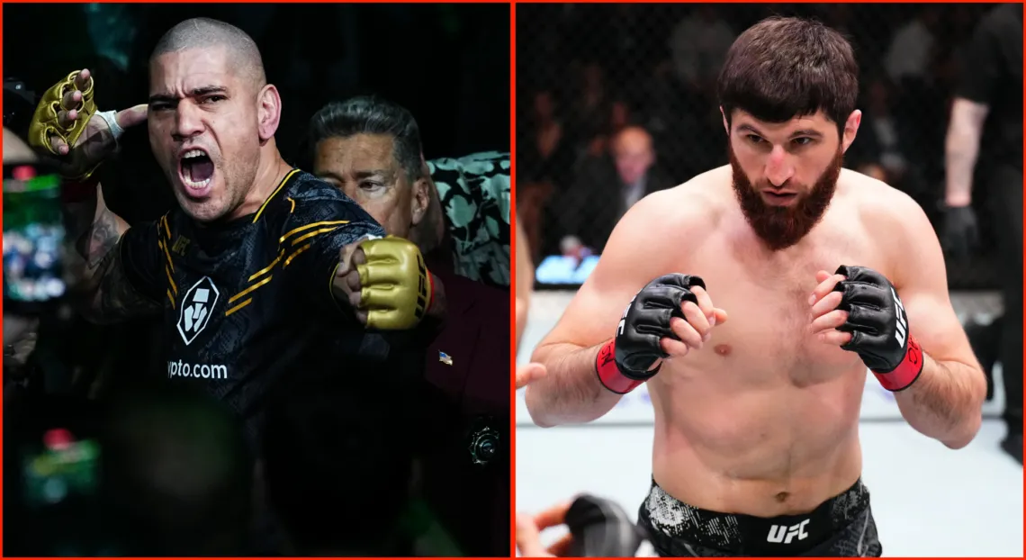 Alex Pereira tuyên bố rằng Magomed Ankalaev 'không muốn chiến đấu' khi anh xác nhận sẽ có trận đấu khác để trở lại UFC 307