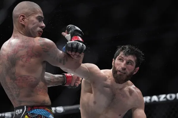 Magomed Ankalaev wins undisputed light heavyweight belt with unanimous  decision over Alex Pereira | AP News