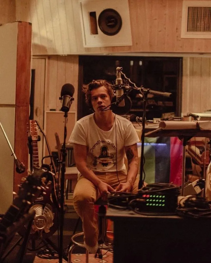 Instagram의 harry styles updates ♡님: “COLORED VERSION OF HARRY RECORDING  FINE LINE BY @helenepambrun.photography!”