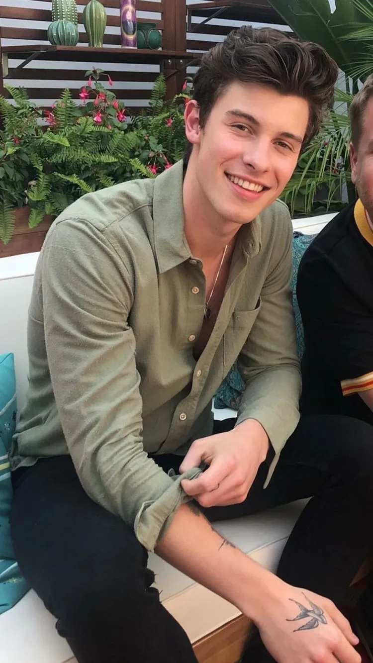 Shawn Mendes | Shawn mendes imagines, Shawn, Shawn mendes wattpad
