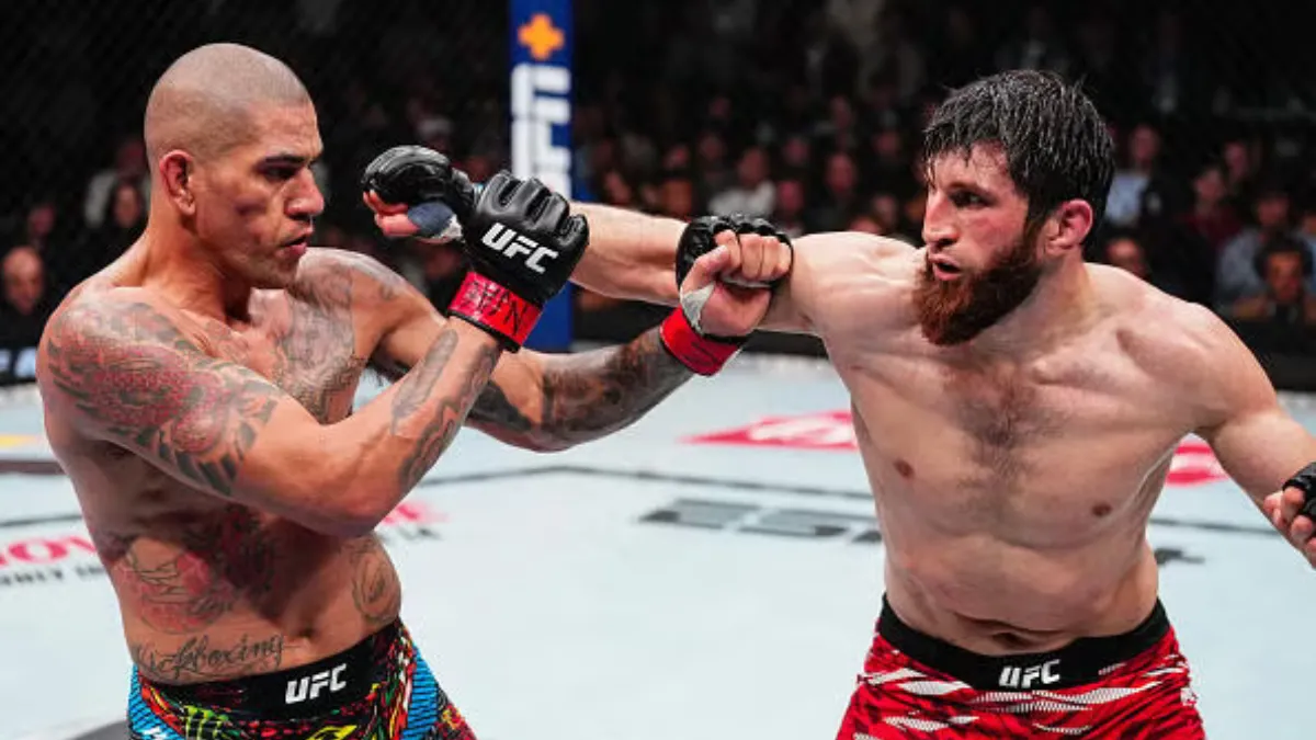 Magomed Ankalaev Claims Alex Pereira Was Greased Up In First Fight ...