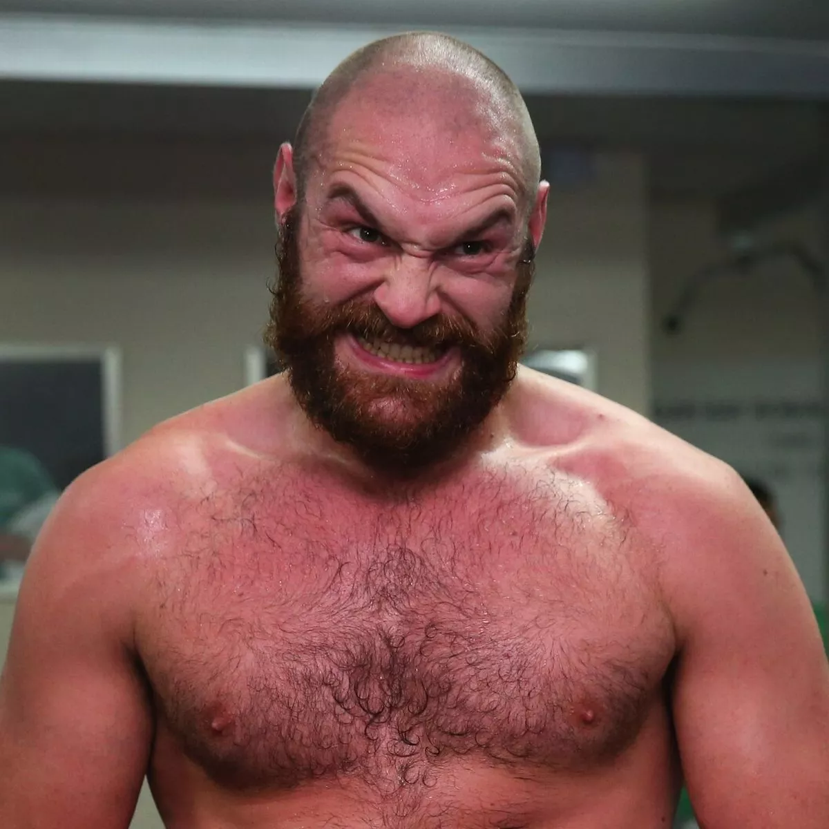 Tyson Fury lined up for I'm A Celebrity according to reports - Manchester  Evening News