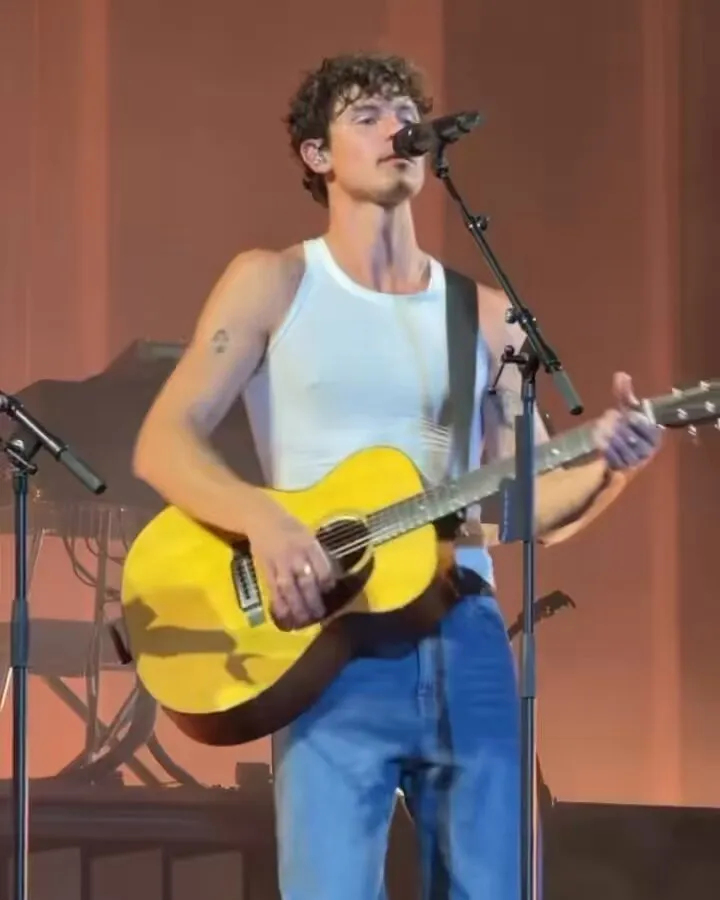Shawn Updates on X: "📹| Shawn Mendes cantando Heavy en Toronto 🇨🇦  #OnTheRoadAgainToronto https://t.co/t8b796iayX" / X