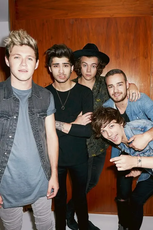 One Direction 2014