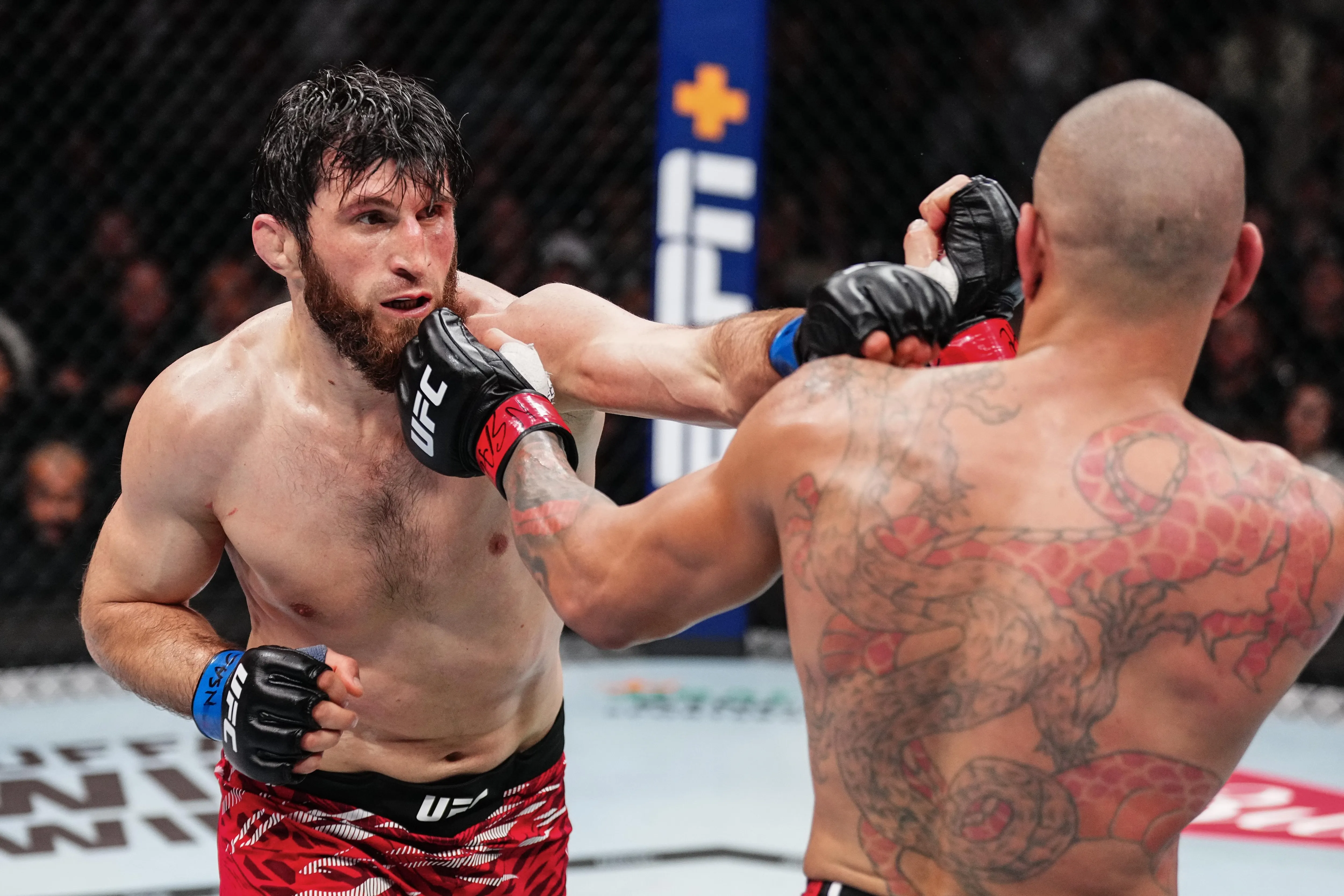 Magomed Ankalaev Beats Alex Pereira at UFC 313 to Win Light Heavyweight  Title
