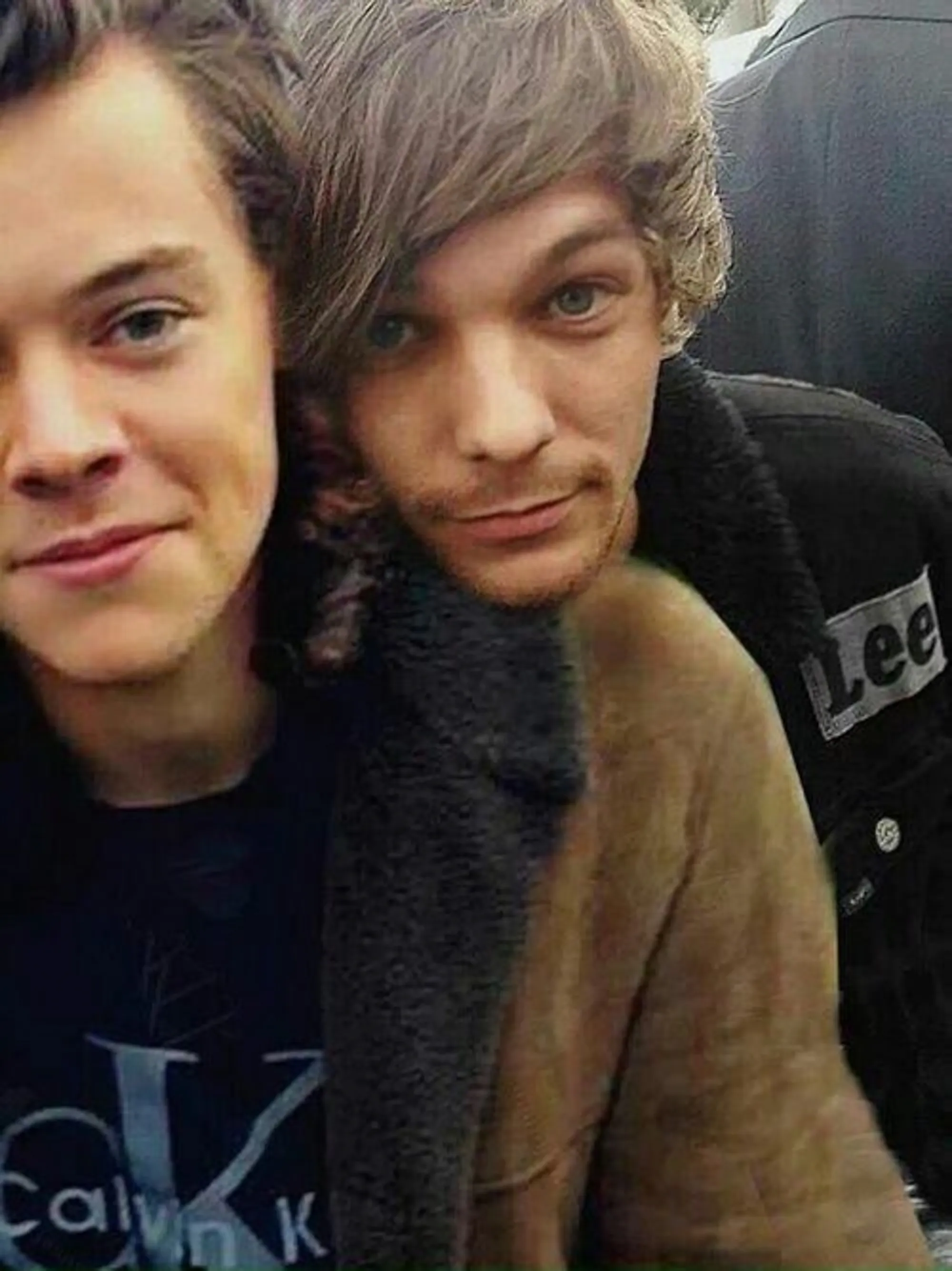 Louis Tomlinson says that Harry Styles romance rumors 'irritate' him