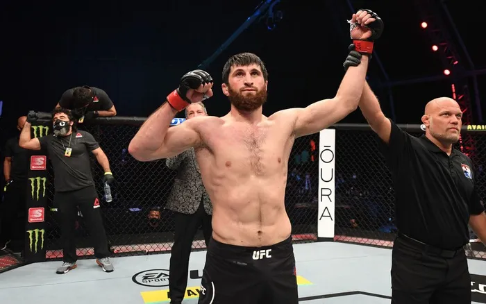 Magomed Ankalaev và cuộc hành trình đáng nhớ từ sambo sang MMA