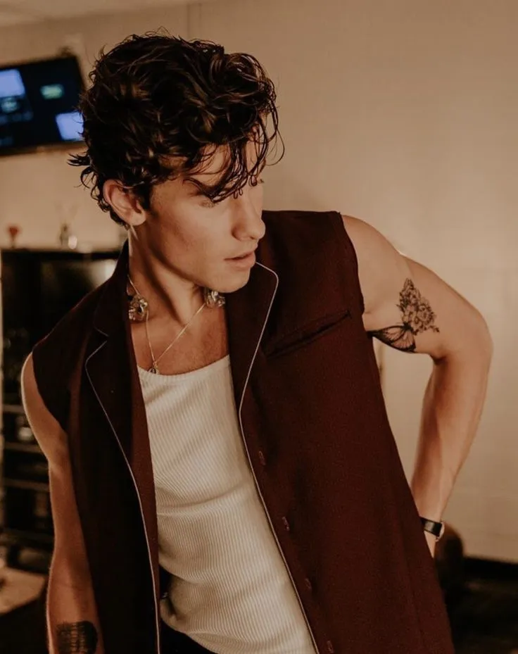 Pin by lucer on Shawn Mendes | Shawn mendes news, Shawn mendes shows, Mendes