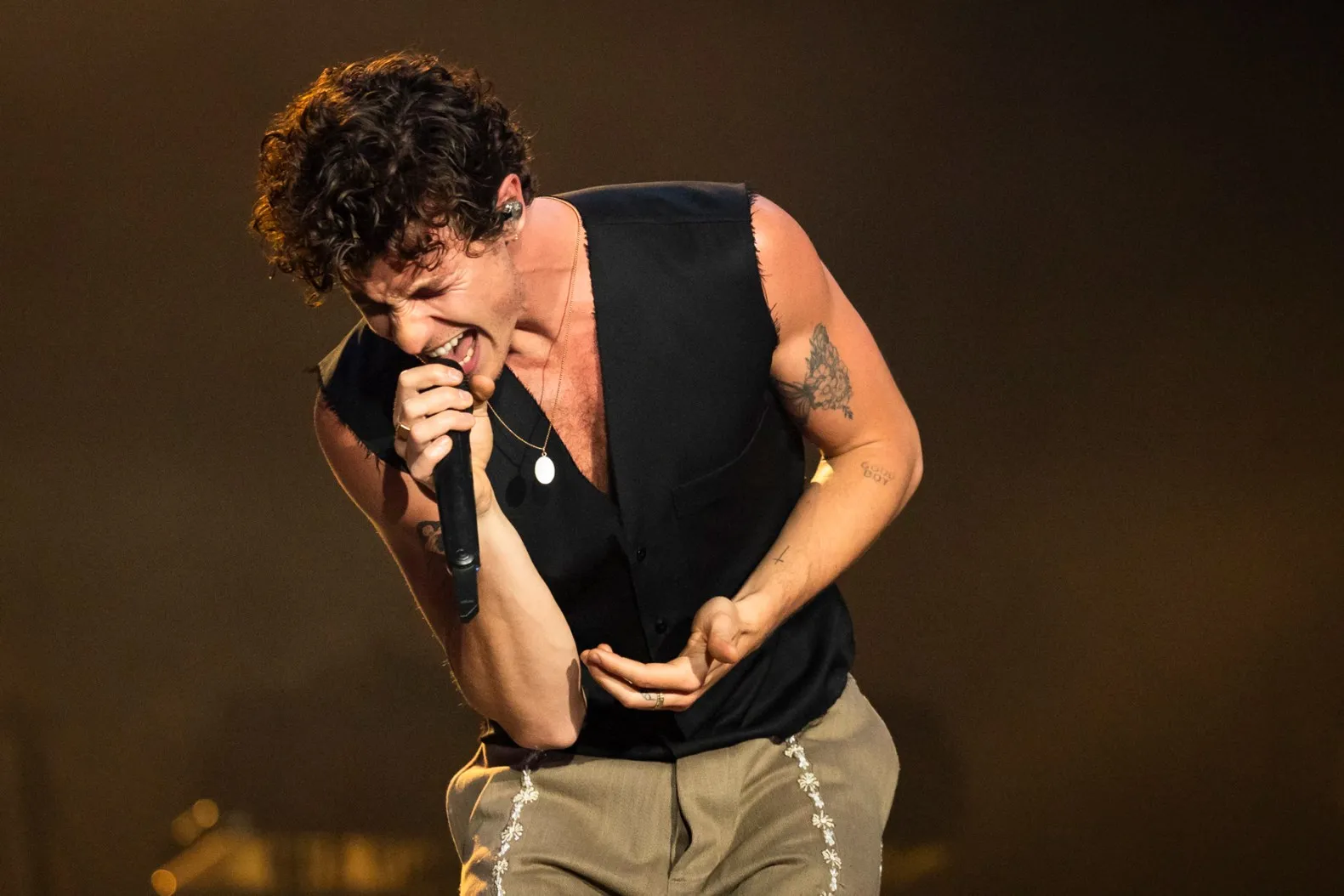 Shawn Mendes Shares 'On the Road Again' 2025 North America Tour Dates