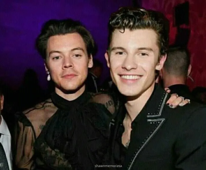 Harry styles and shawn mendes