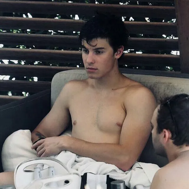 Shawn Mendes 2018