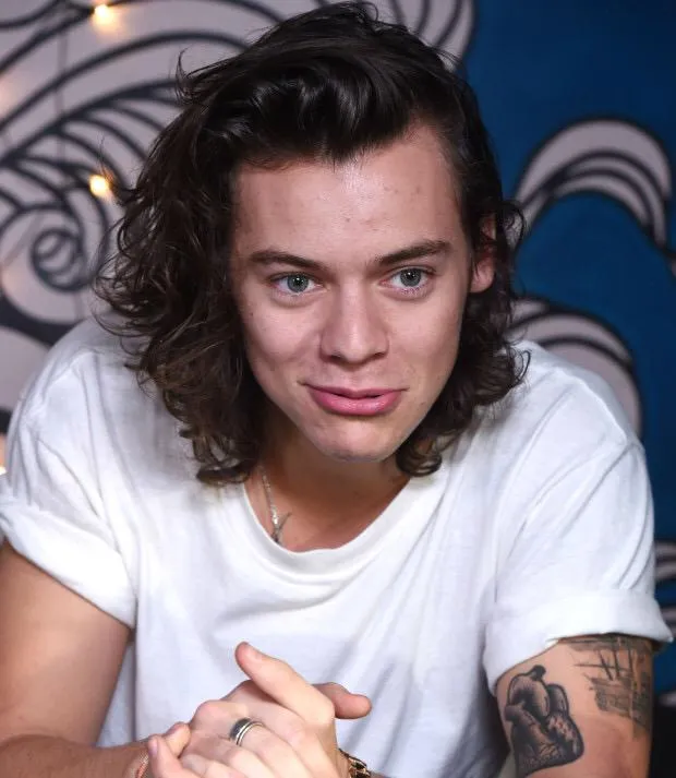 مشاهير أبراج on X: "harry styles - برج #الدلو http://t.co/JQwptqYl3W" / X