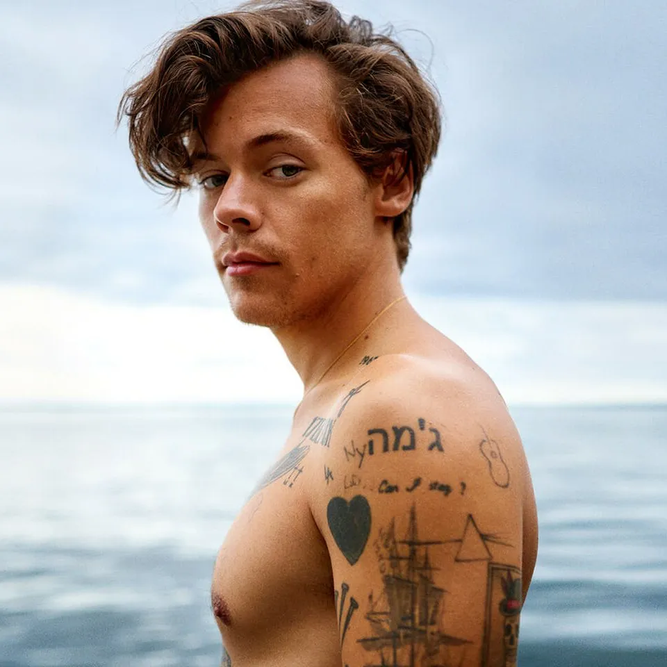 ACERVO on X: "CANTORES MAIS BONITOS 4 • Harry Styles https://t.co/Cygll0fYWS" / X