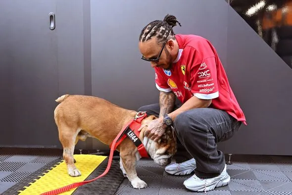 Lewis Hamilton asks for 'thoughts and prayers' for beloved dog Roscoe | F1  | Sport | Express.co.uk