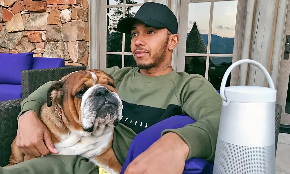 Lewis Hamilton dùng chó cưng để 'đá đểu' Pirelli trên instagram