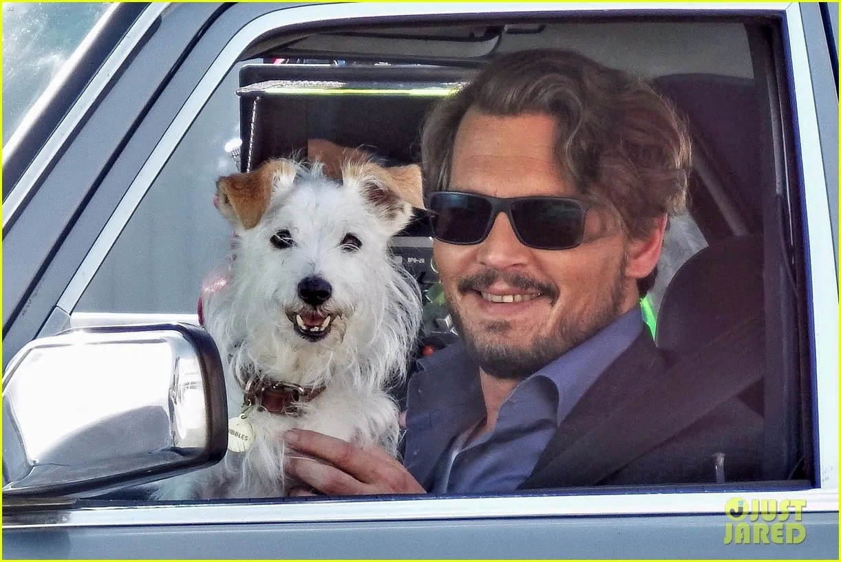Johnny Depp Plays with a Dog on 'Richard Says Goodbye' Set: Photo 3942419 | Johnny  Depp Photos | Just Jared: Entertainment News