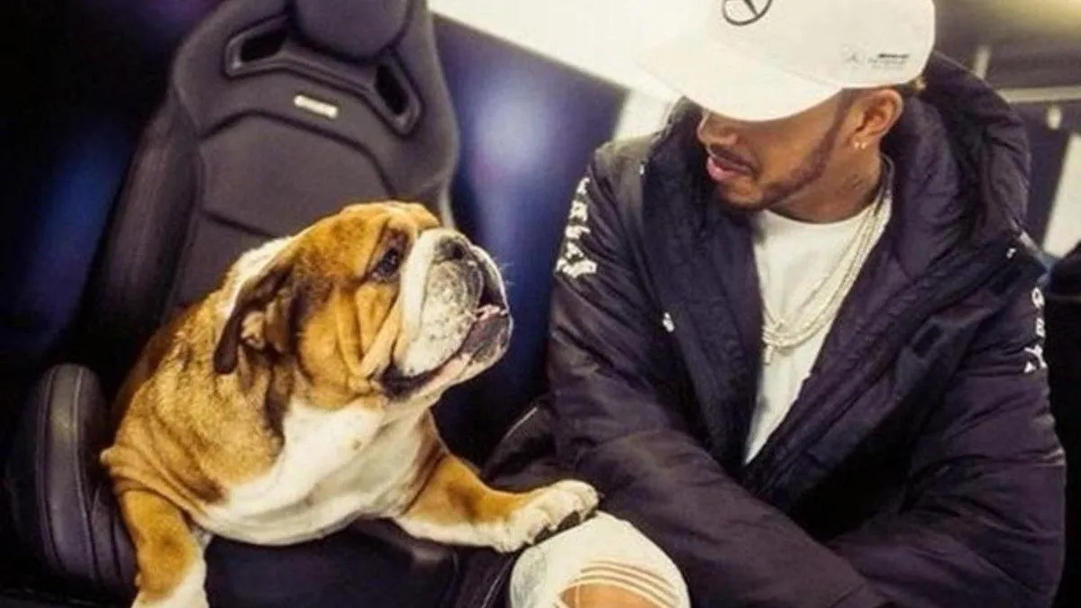 Hamilton llora la muerte de su perra Coco