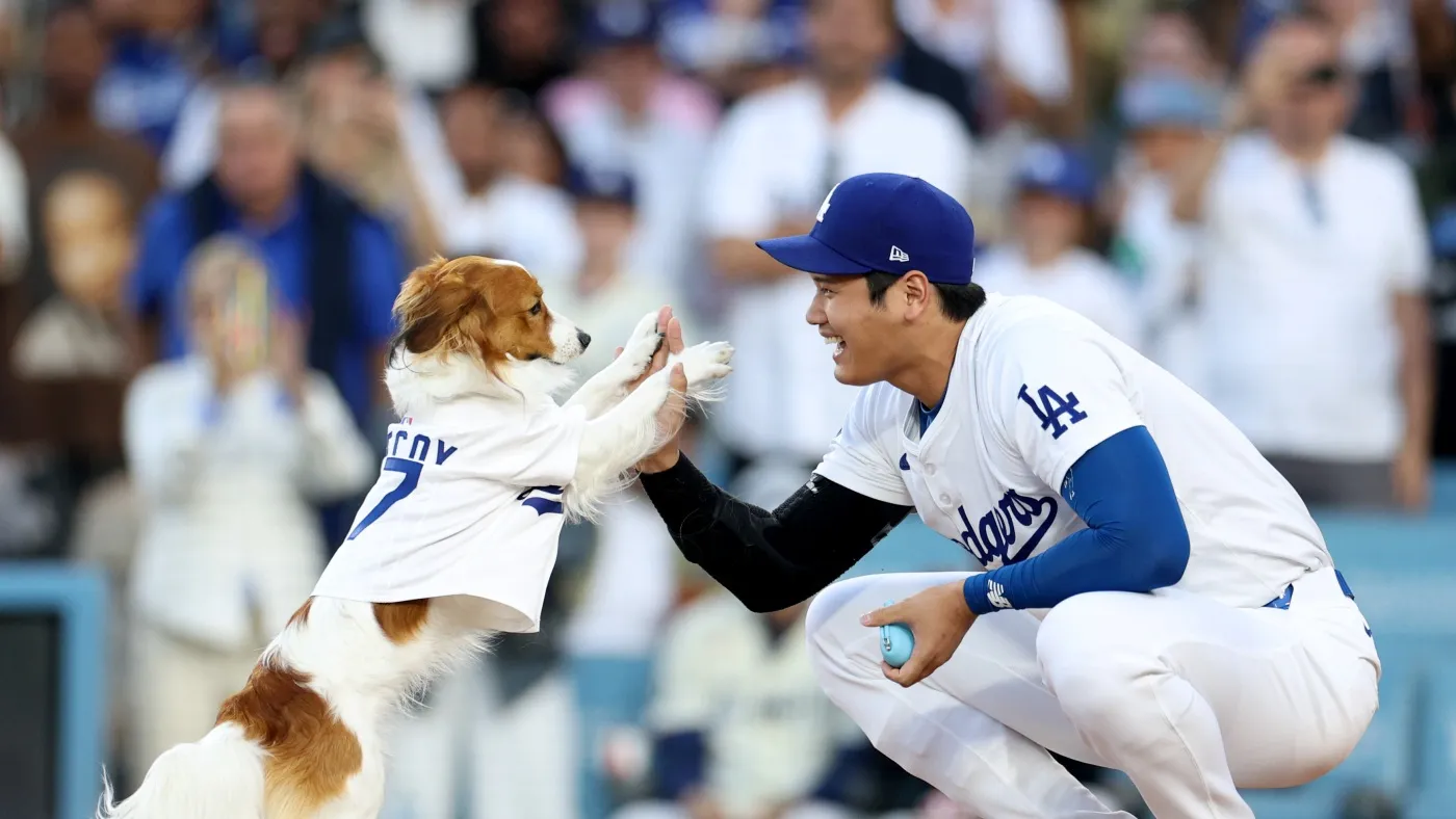 Shohei Ohtani's dog 'threw' 1st pitch at Dodgers game : NPR