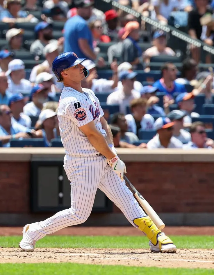 “I Wouldn’t Mind Pete Alonso Being Mets President” — Juan Soto’s Half-Joking, Half-Serious Remark Unexpectedly Exposed Polar Bear’s True Status In The Locker Room… – Blog News
