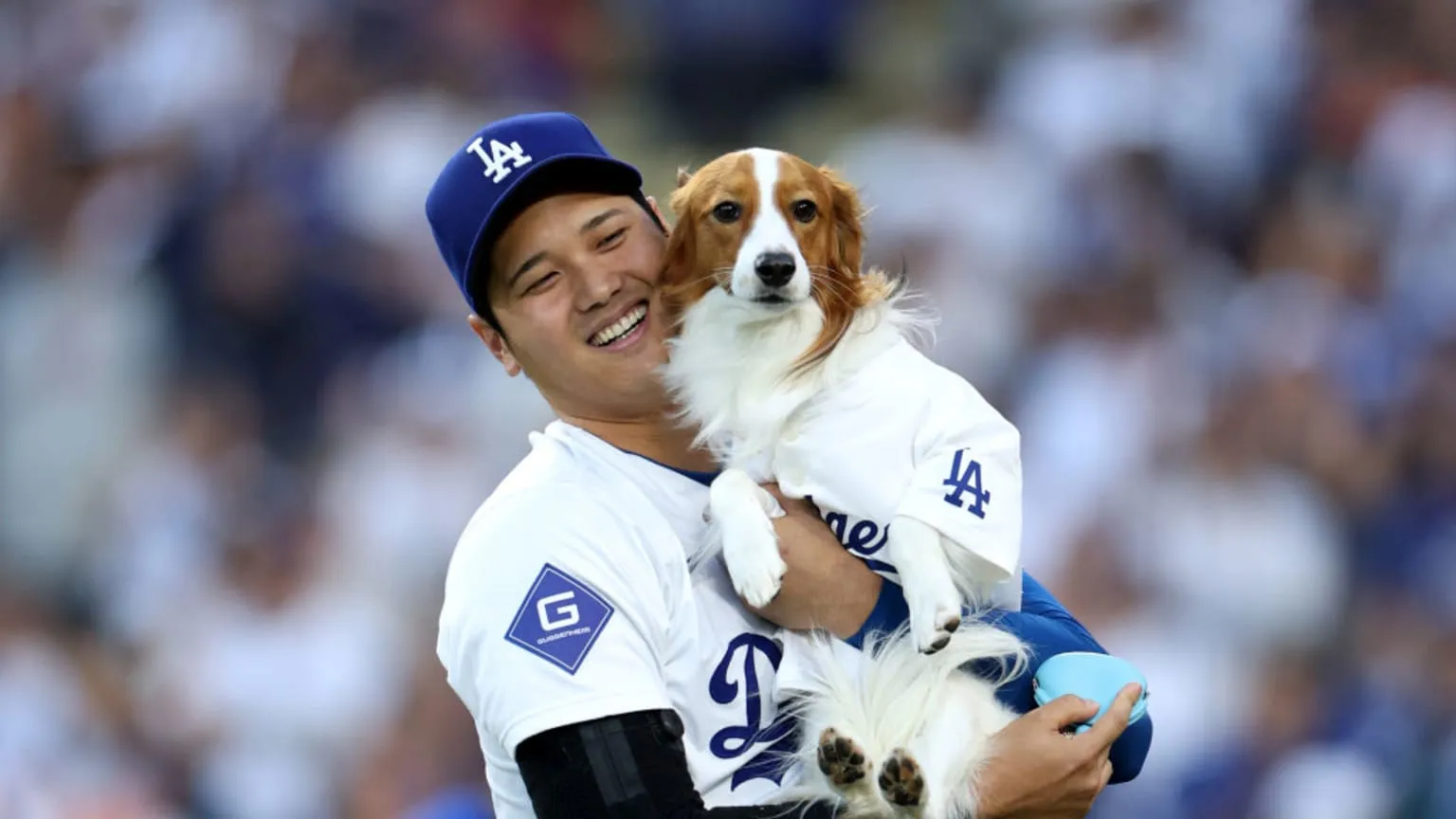 Shohei Ohtani's dog Decoy delivers first pitch | 08/28/2024 | Los Angeles Dodgers